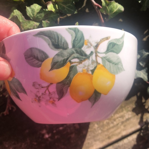 Royal Norfolk Lemon 5 1/2" Cereal Bowls Set Of 2 Bowls- - Picture 6 of 6